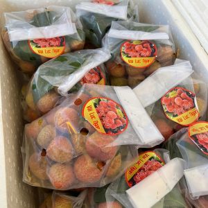 Vải Lục Ngạn