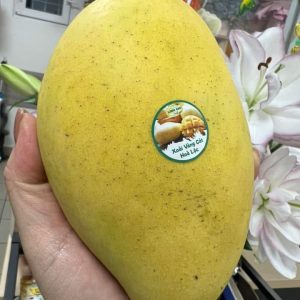 Xoài Vàng Cát Hòa Lộc