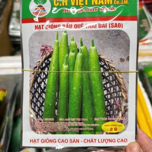 Hạt Giống Bầu Quê