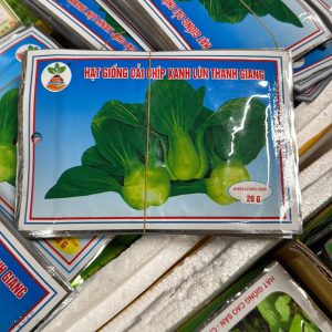 Hạt Giống Rau Cải Chíp