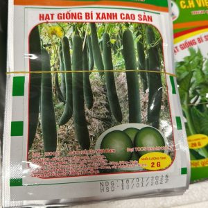Hạt Giống Bí Xanh