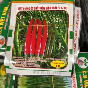 Hạt Giống Ớt Chỉ Thiên