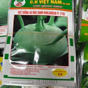 Hạt Giống Su Hào Xanh