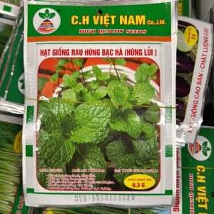 Hạt Giống Rau Húng Bạc Hà