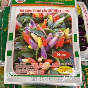 Hạt Giống Ớt Ngũ Sắc Chỉ Thiên