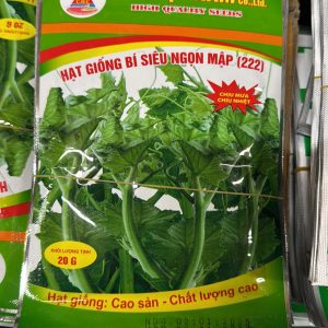 Hạt Giống Bí Ngọn Mập