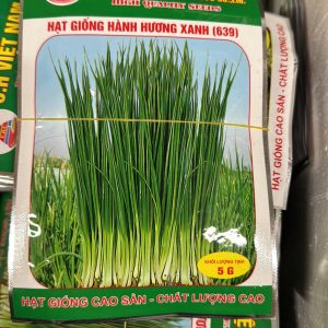 Hạt Giống Hành