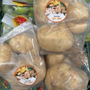 Củ Đậu Miền Bắc