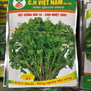Hạt giống Mùi Ta