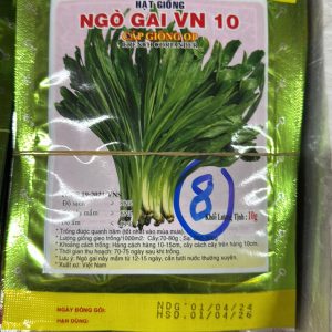Hạt Giống Ngò Gai