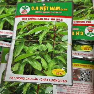 Hạt Giống Rau Đay Đỏ